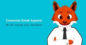 Consumer Email Append